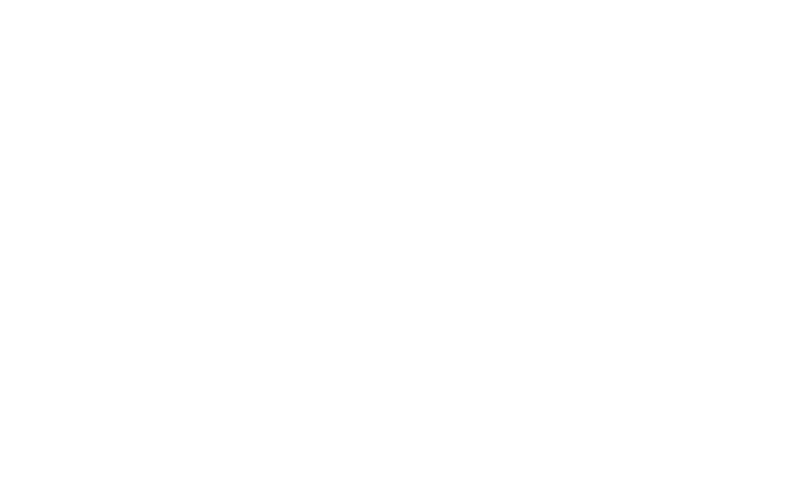 Vellore Trails logo